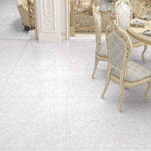 BARIUS LIGHT GRAY Nano Polish ‎100x100‎ cm